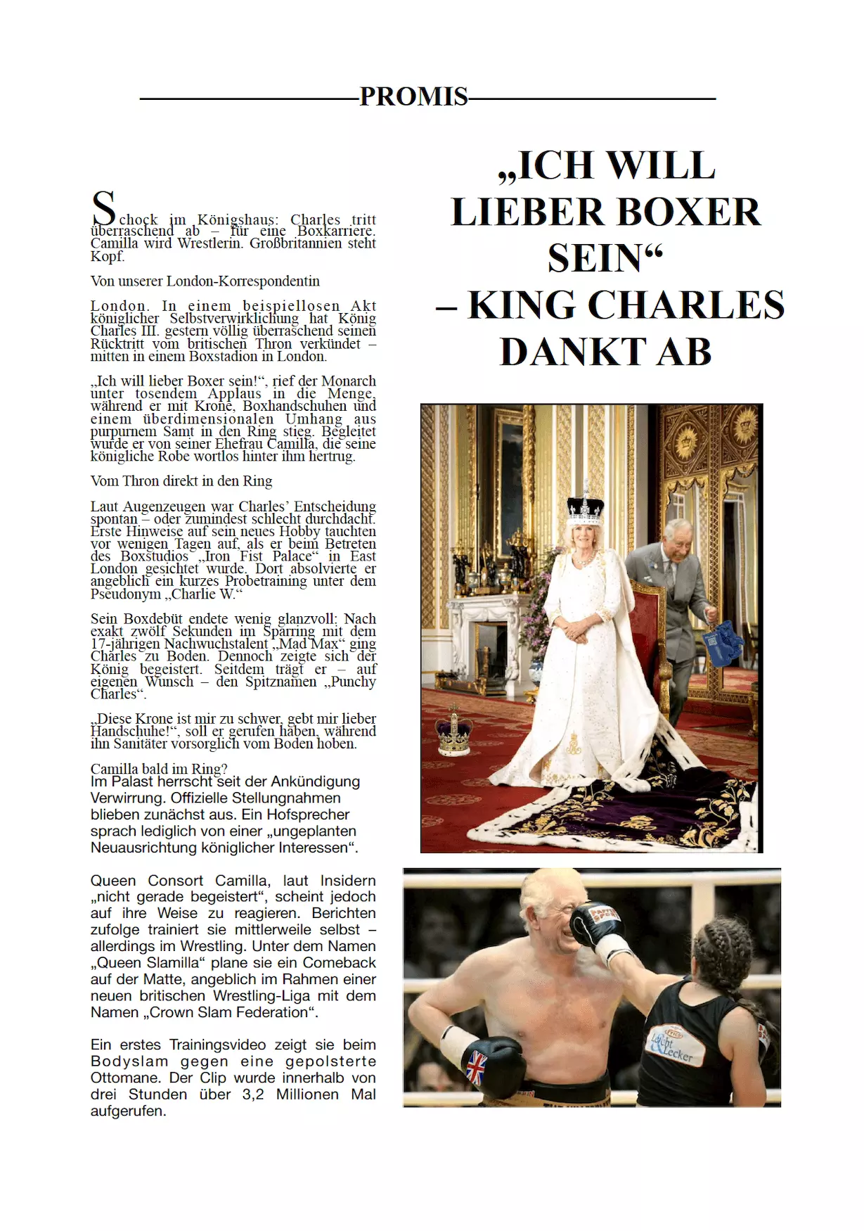 Fake News Zeitung 3.png